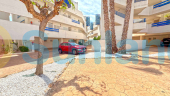 Segunda mano - Apartamento - Orihuela Costa - Playa Flamenca
