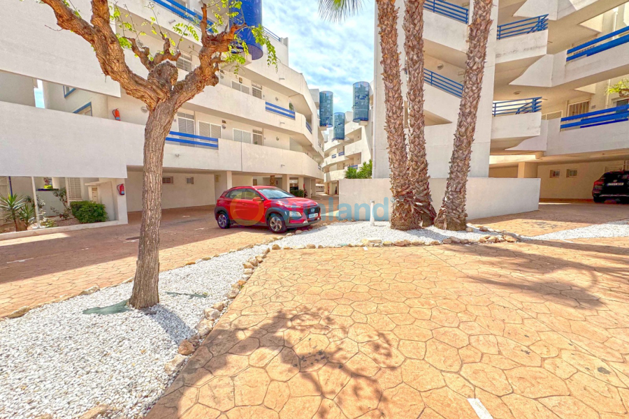 Segunda mano - Apartamento - Orihuela Costa - Playa Flamenca