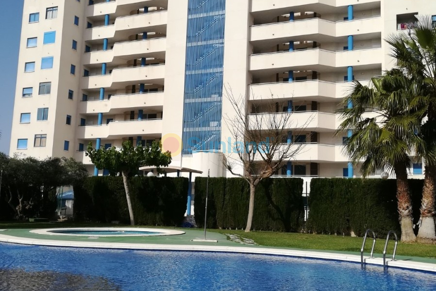 Verkauf - Apartment - Guardamar del Segura - 