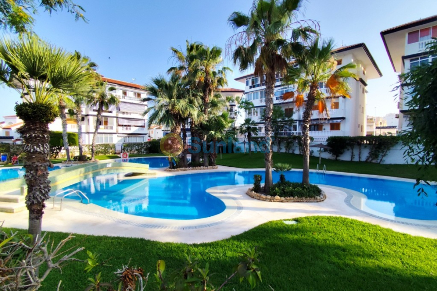 Resale - Apartment - La Mata