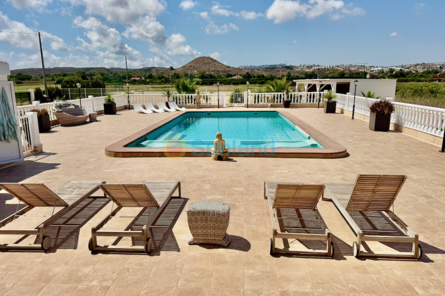 Resale - Villa - Rojales