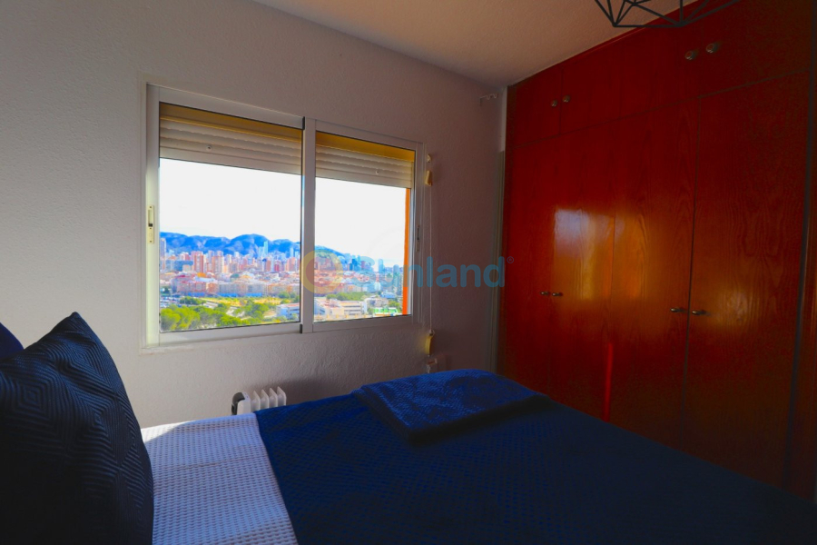 Segunda mano - Apartamento - Benidorm - Colonia Madrid