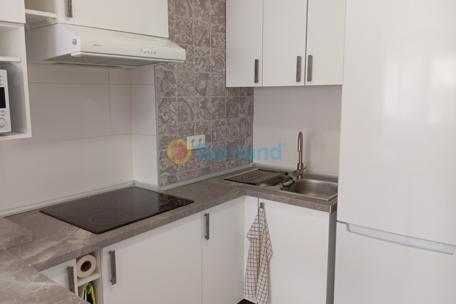 Segunda mano - Apartamento - Orihuela Costa - Mil Palmeras