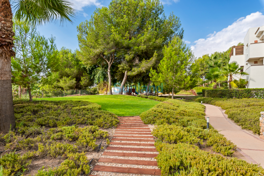 Brukte eiendommer - Leilighet - Orihuela - Las Colinas