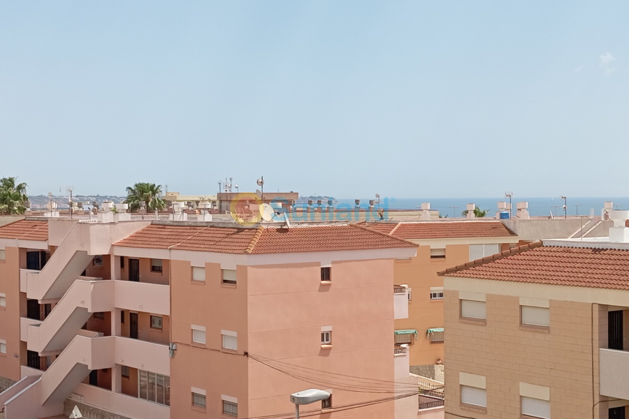 Resale - Apartment - Orihuela Costa - Mil Palmeras