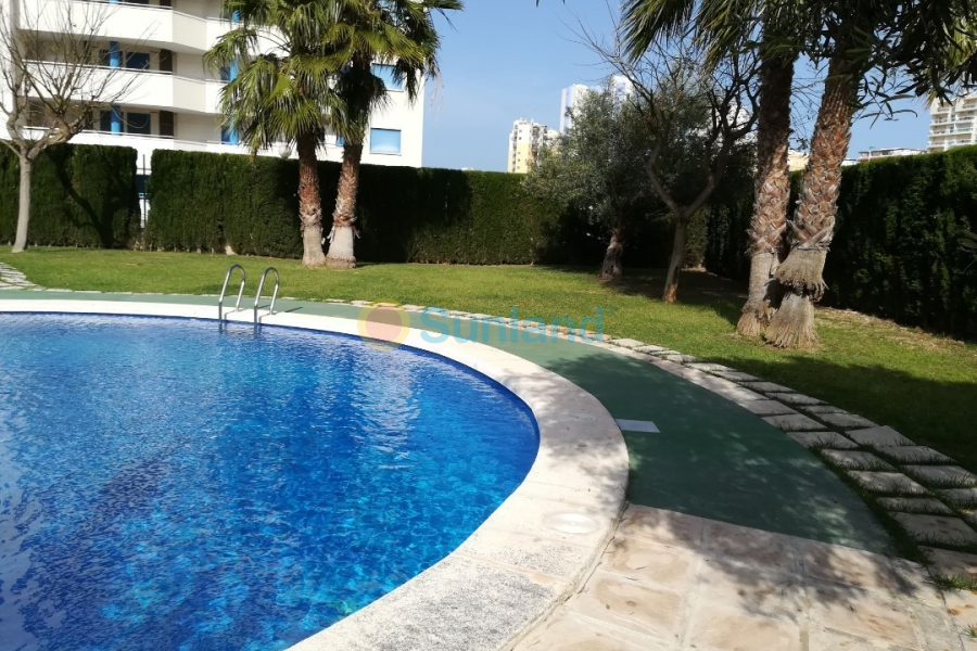 Resale - Apartment - Guardamar del Segura - 