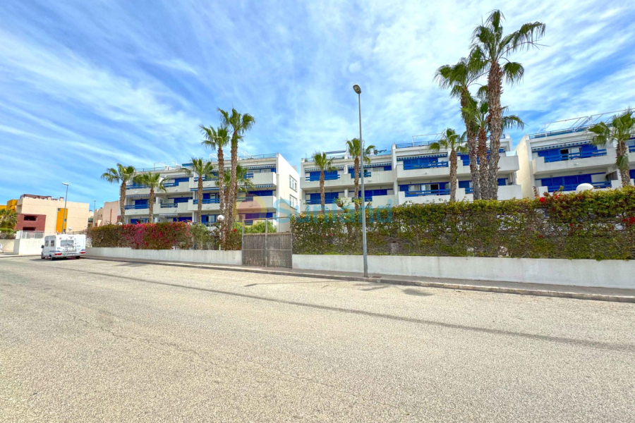 Segunda mano - Apartamento - Orihuela Costa - Playa Flamenca