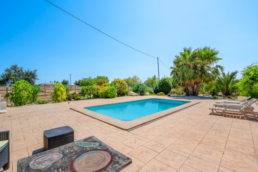 Resale - Country estate - Elche/Elx