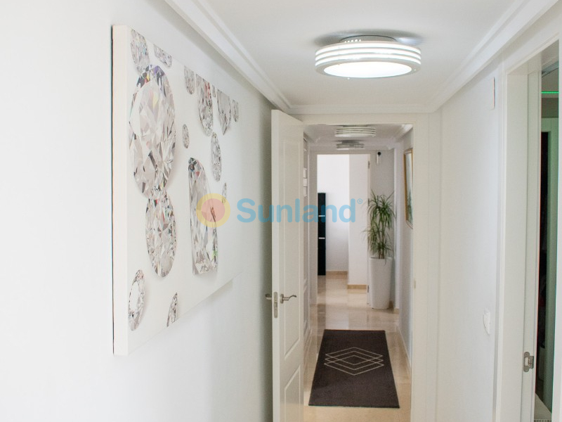 Resale - Villa - San Miguel de Salinas - LO RUFETE