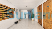 Resale - Apartment - La Mata - 