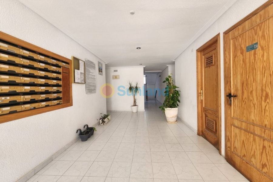 Resale - Apartment - La Mata - 