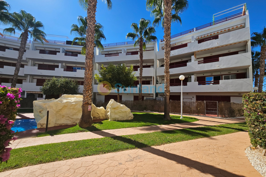 Segunda mano - Apartamento - Playa Flamenca - El Rincon