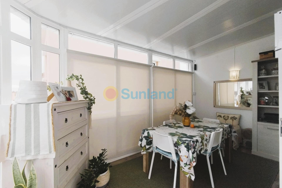 Använda fastigheter - V - San Miguel De Salinas - Las filipinas