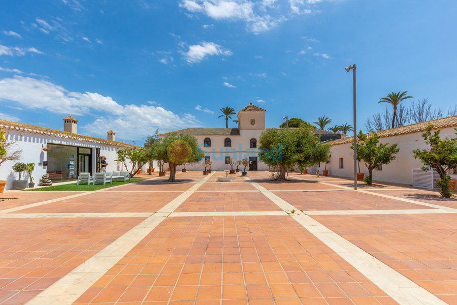 Segunda mano - Apartment - Flat - Hacienda Riquelme Golf Resort - Inland