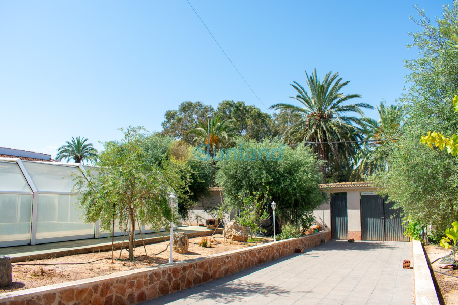 Segunda mano - Chalet - Orihuela Costa - Mil Palmeras