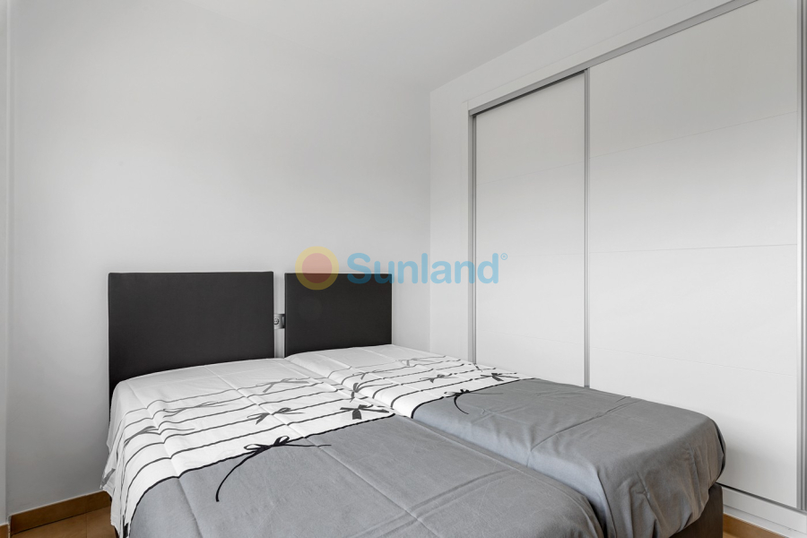 Segunda mano - Apartamento - Orihuela - Vistabella