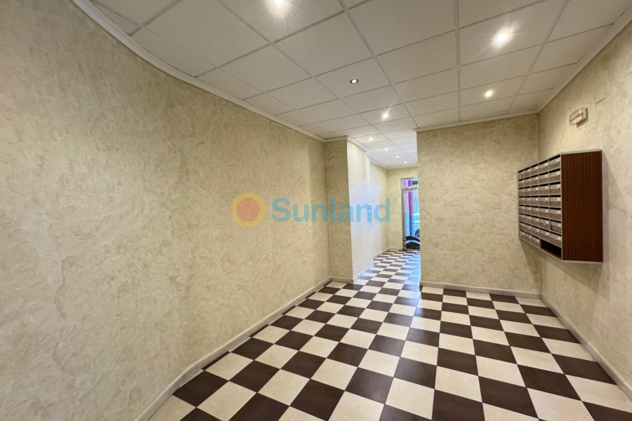 Använda fastigheter - A - Torrevieja - Centro