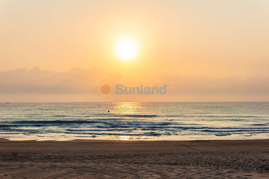 New Build - Apartment - Guardamar del Segura