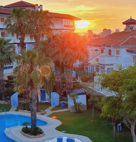 Resale - Apartment - La Mata