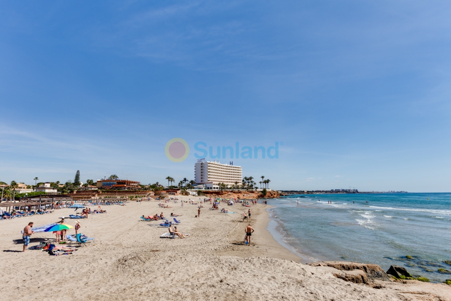 Segunda mano - Adosado - Orihuela Costa - Playa Flamenca