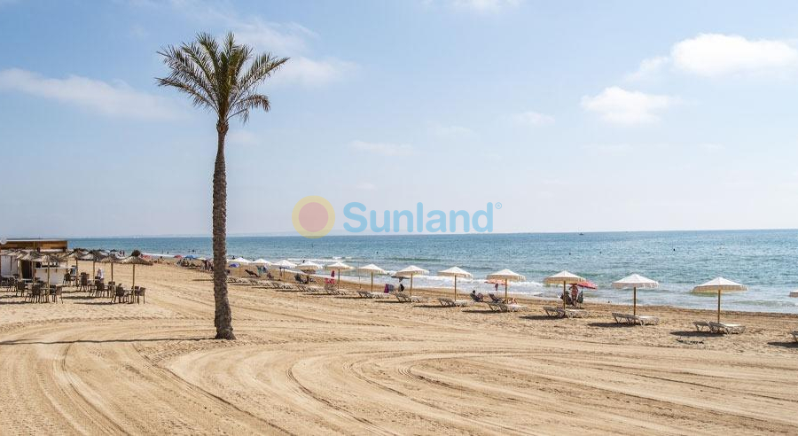 New Build - Apartment - Guardamar del Segura - Pueblo