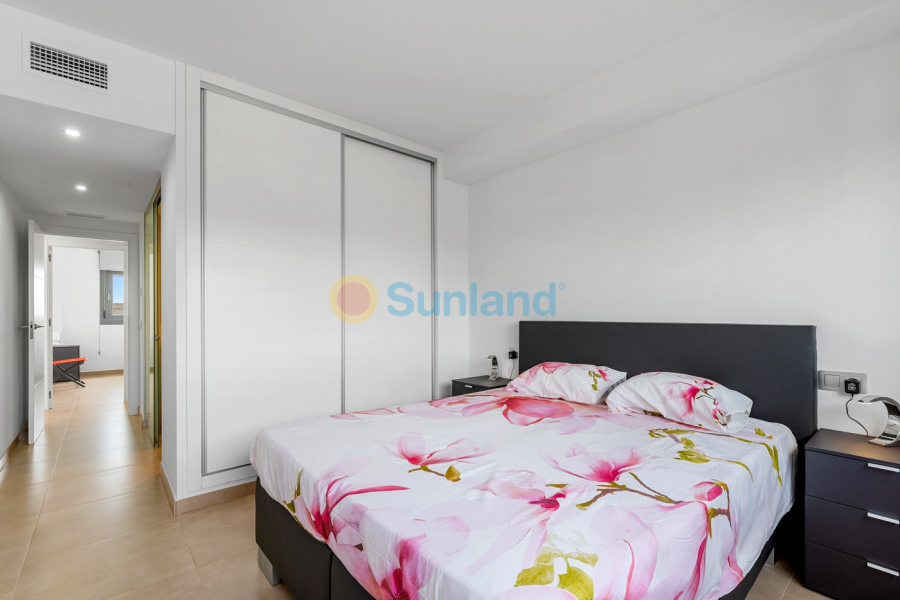 Segunda mano - Apartamento - Orihuela - Vistabella