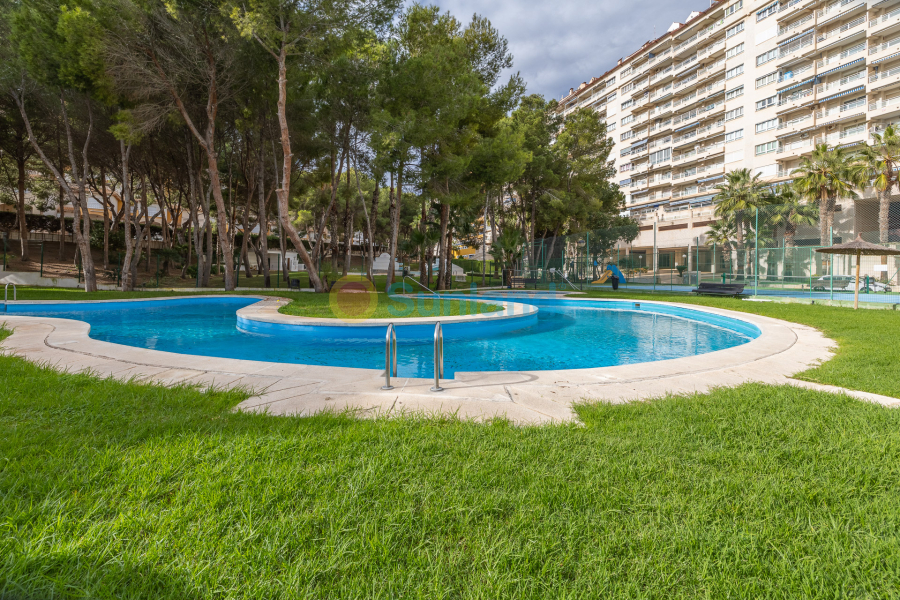 Resale - Apartamento - Orihuela Costa - Campoamor