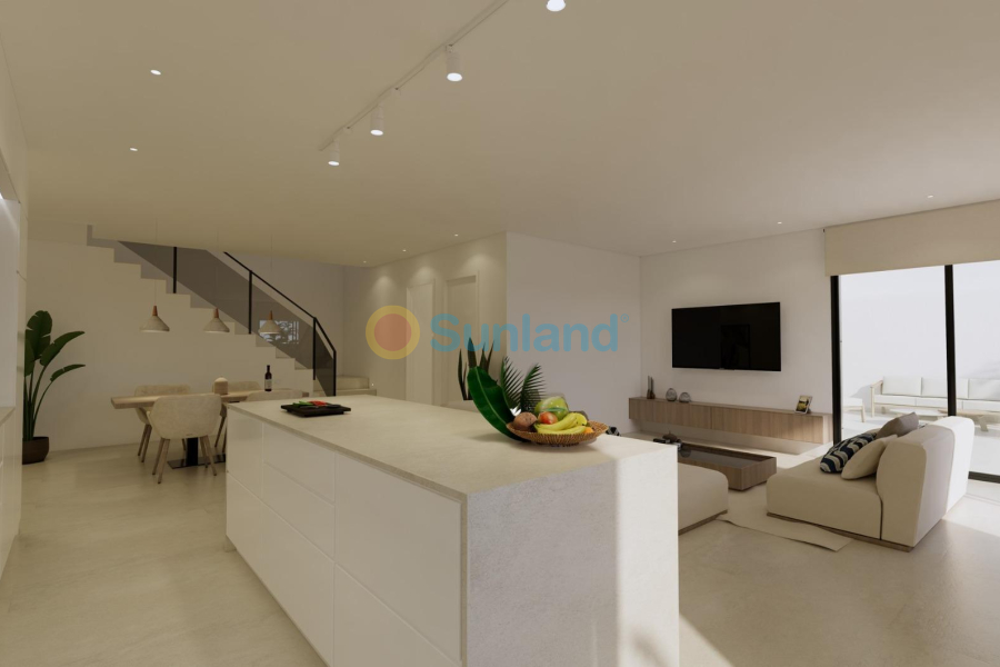 New Build - Villa - Dolores - Sector 3