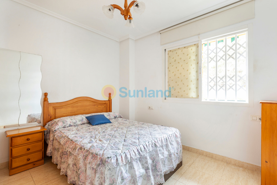 Använda fastigheter - Apartamento - Torrevieja - La Mata