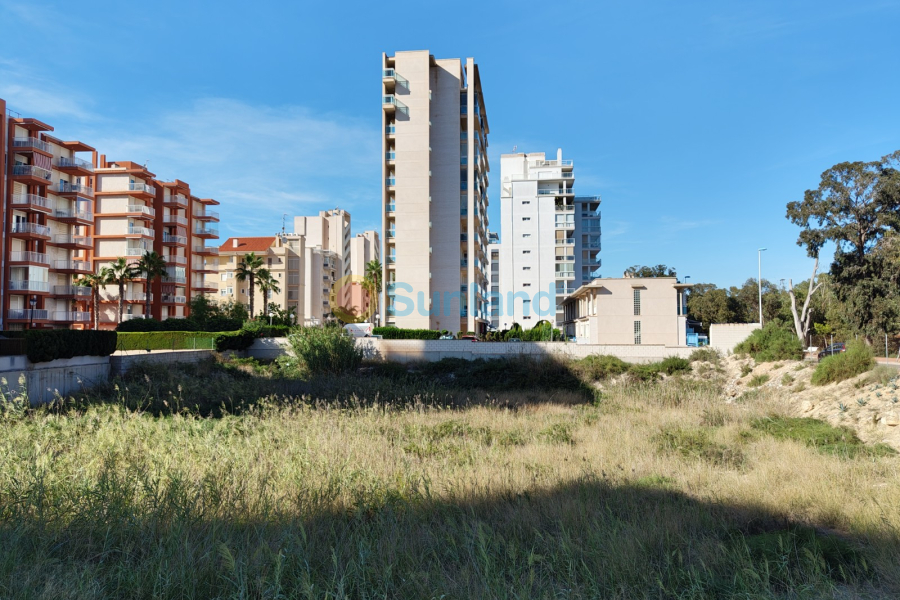 Resale - Land - Guardamar del Segura - 