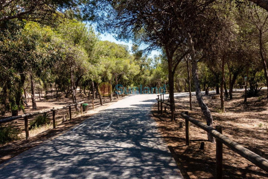 Neubau - Apartment - Guardamar del Segura