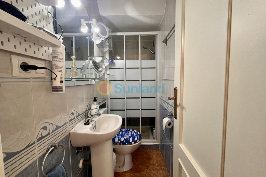 Använda fastigheter - T - Los Montesinos