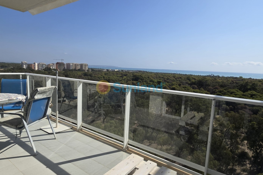 Resale - Apartment - Guardamar del Segura - 