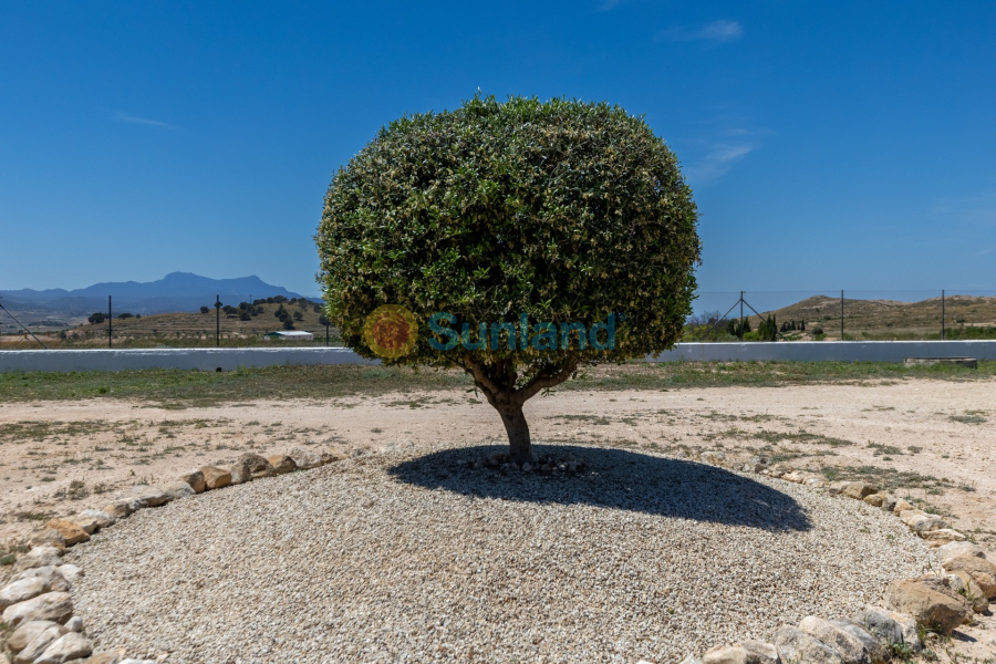 Resale - Country house - Torre Del Rico