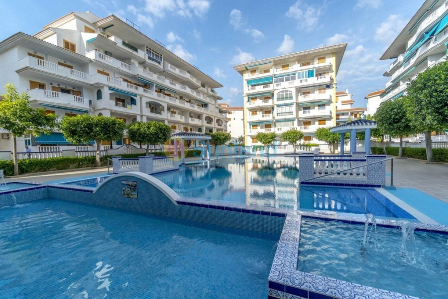 Verkauf - Apartment - Torrevieja - La Mata