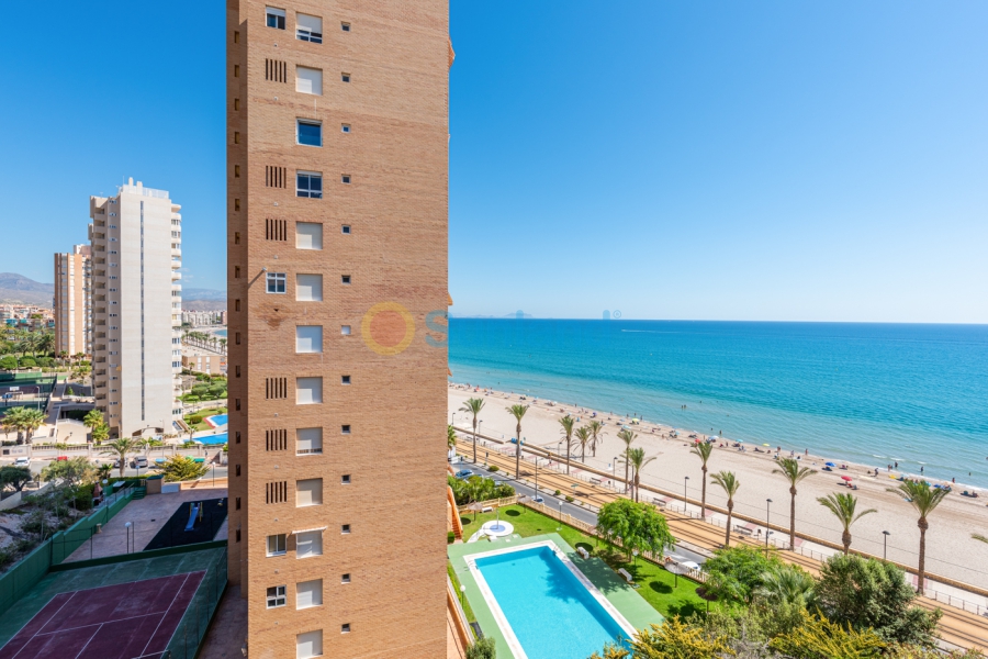 Segunda mano - Apartamento - Alicante/Alacant - El Campello
