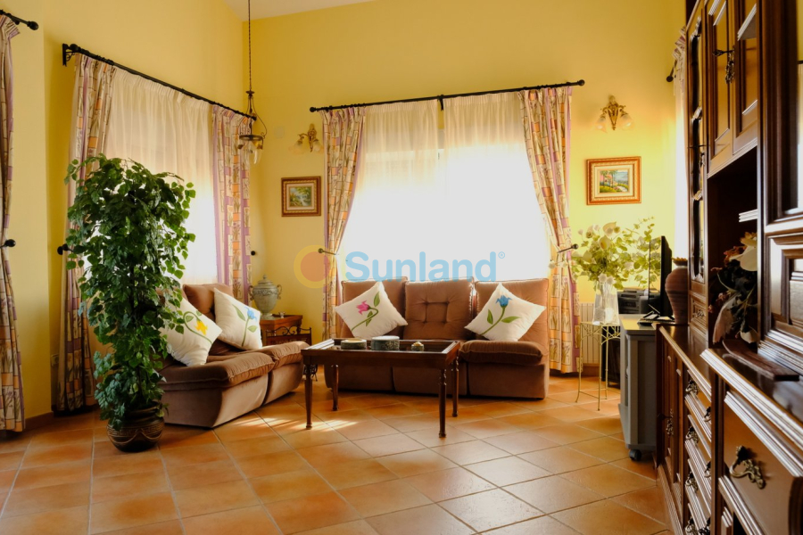Använda fastigheter - Villa - Orihuela