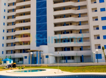 Apartamento - Segunda mano - Guardamar del Segura - Guardamar del Segura