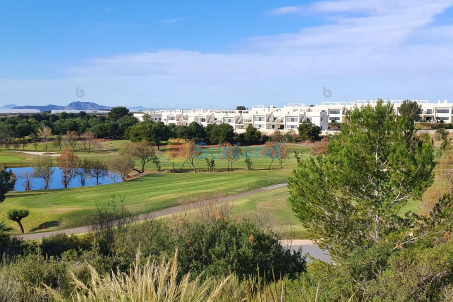 Nueva construcción  - Chalet - Pilar de la Horadada - Lo Romero Golf