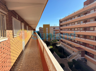 Apartamento - Segunda mano - Torrevieja - Punta Prima