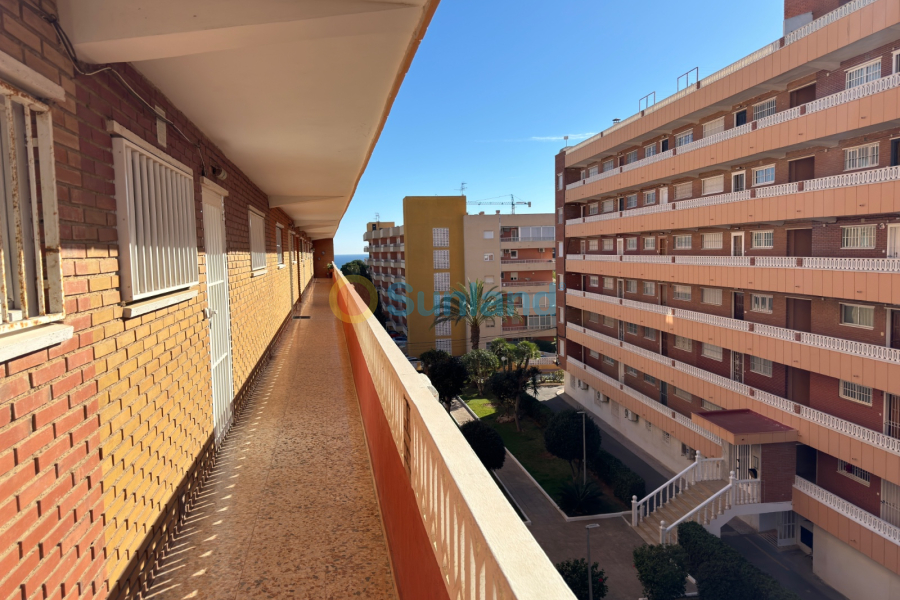 Verkauf - Apartment - Torrevieja - 