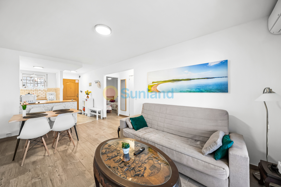 Använda fastigheter - Apartamento - Torrevieja - Cabo Cervera