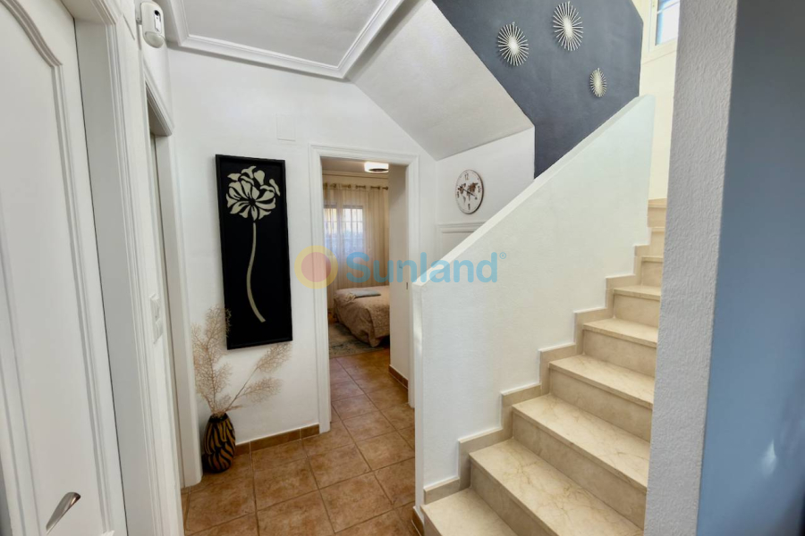 Använda fastigheter - Villa - Guardamar del Segura - El Raso