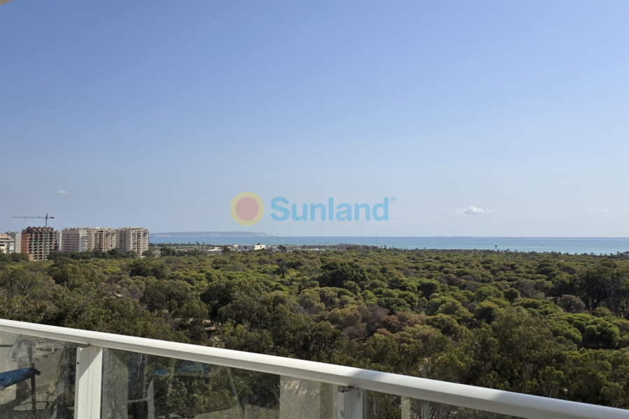 Resale - Apartment - Guardamar del Segura - 