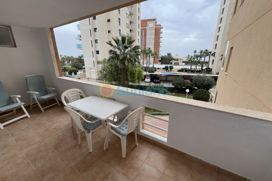 Brukte eiendommer - Apartamento - Torrevieja - La Veleta