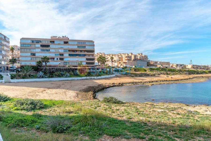 Segunda mano - Apartamento - Torrevieja - Cabo Cervera