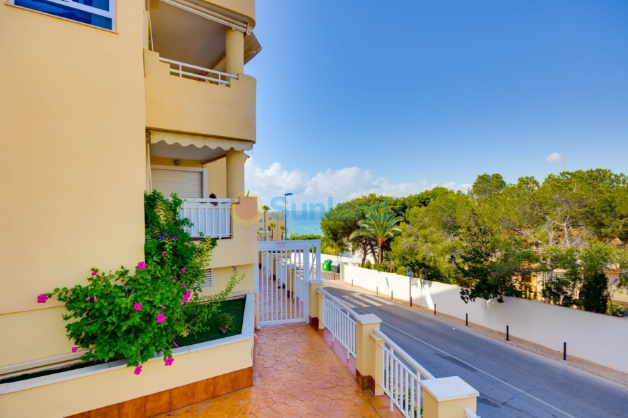 Verkauf - Apartamento - Orihuela Costa - La Regia