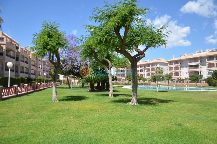 Använda fastigheter - Lägenhet - Orihuela Costa - Playa Flamenca