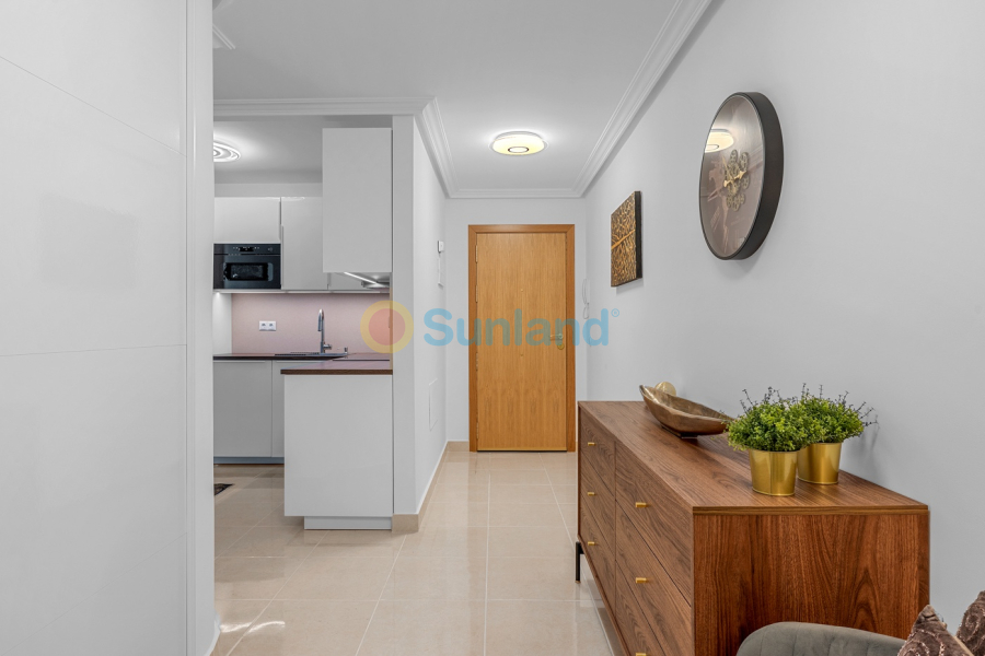 Använda fastigheter - Lägenhet - Torrevieja - Playa del Cura