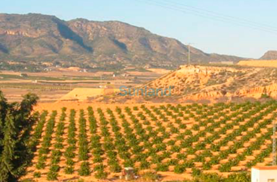 Resale - P - Torre Pacheco